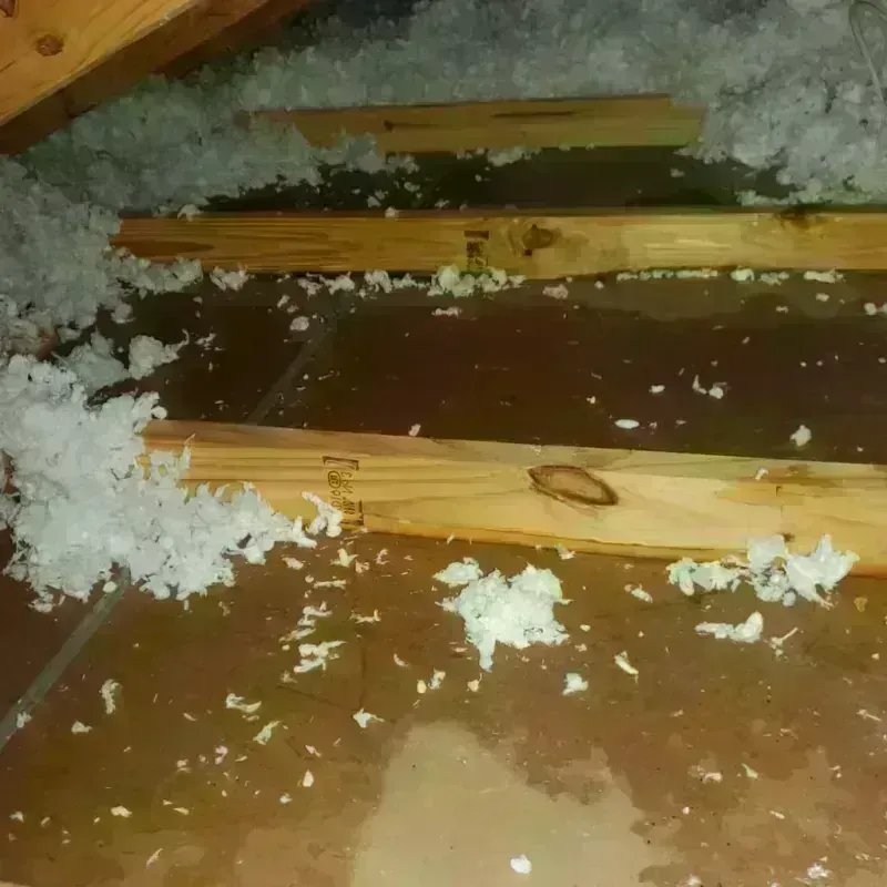 Attic Water Damage in Palo Alto County, IA