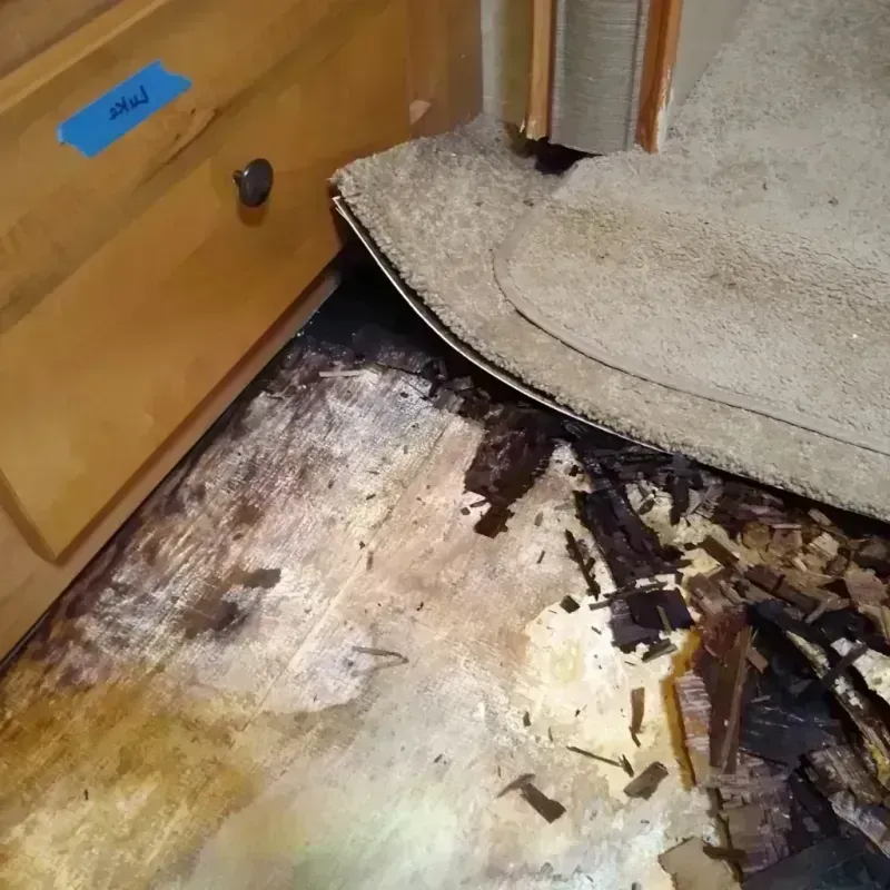 Best Wood Floor Water Damage Service in Palo Alto County, IA